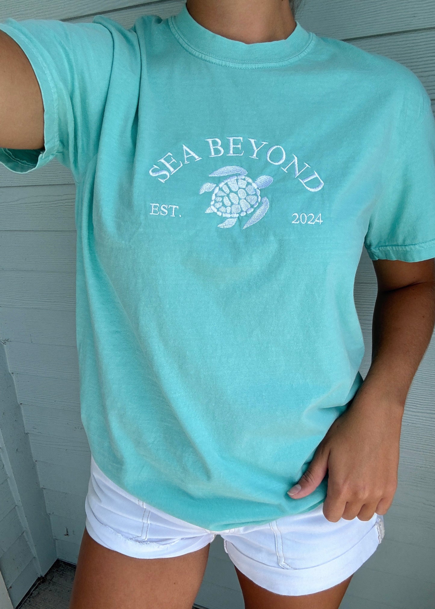 Aqua Turtle Tee